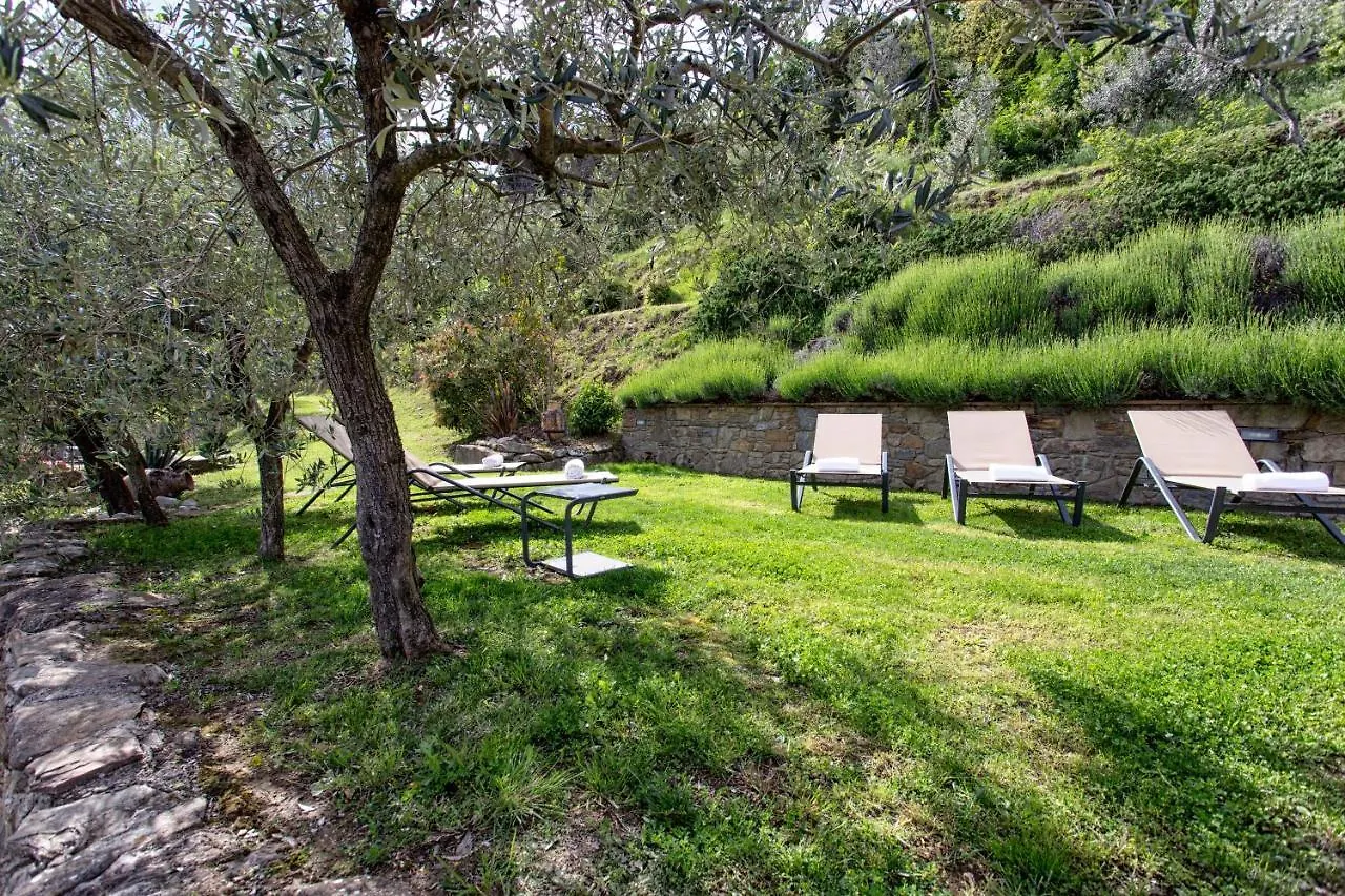 Villa Del Sole Cortona Holiday home